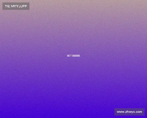 澳门11月赛事安排表